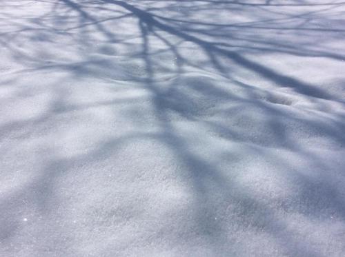 51704618_301757960507262_8762222394715668480_n